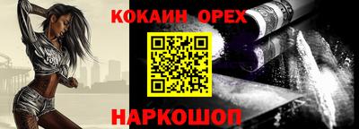 молекула духа Кингисепп