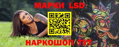 молекула духа Кингисепп