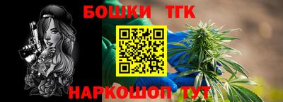 молекула духа Кингисепп