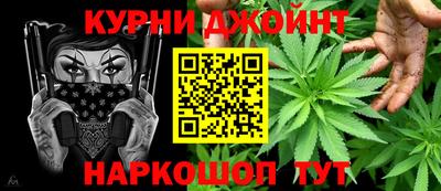 молекула духа Кингисепп