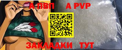 молекула духа Кингисепп