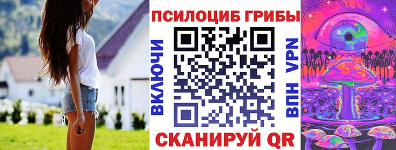 ссылка на мегу зеркало Тосно Галлюциногенные грибы Cubensis