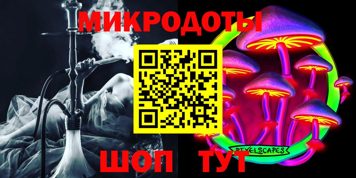 Тосно  Псилоцибиновые грибы Cubensis  Вход с VPN 