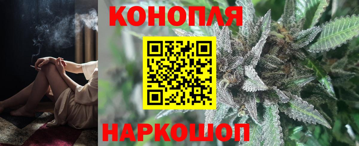 Марихуана SATIVA & INDICA  Вход с VPN  Каннабис планчик  Тосно  Бошки Шишки White Widow  Бошки Шишки марихуана 
